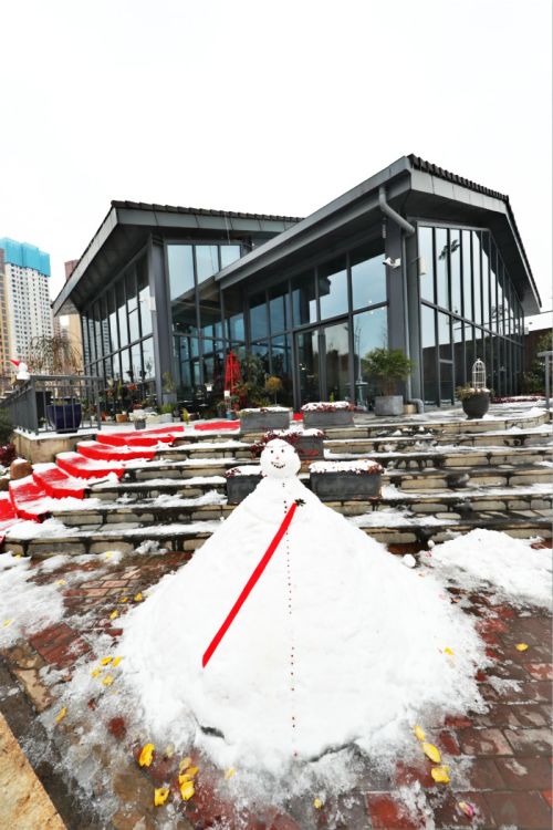一场雪，体育中心美得不要不要的 但最美的风景还是他们(图11)
