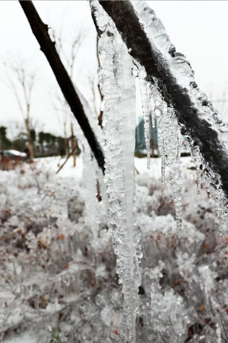 一场雪，体育中心美得不要不要的</br>但最美的风景还是他们(图4)