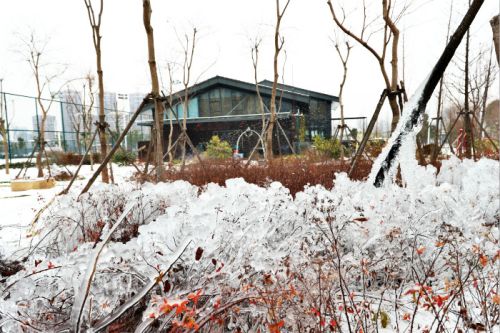 一场雪，体育中心美得不要不要的</br>但最美的风景还是他们(图2)