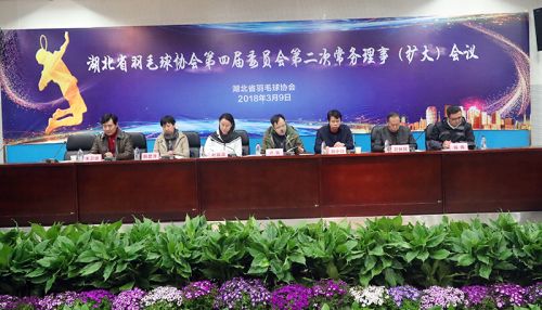省羽协常务理事会议在熊猫体育中心召开</br>赵芸蕾韩爱萍参加会议(图1)