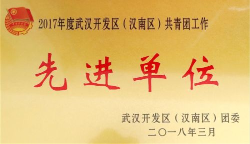 熊猫体育中心团委荣获团区委表彰(图3)