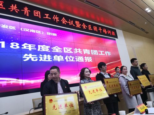 全区共青团工作会议召开  熊猫体育中心获得“共青团工作先进单位”称号(图2)